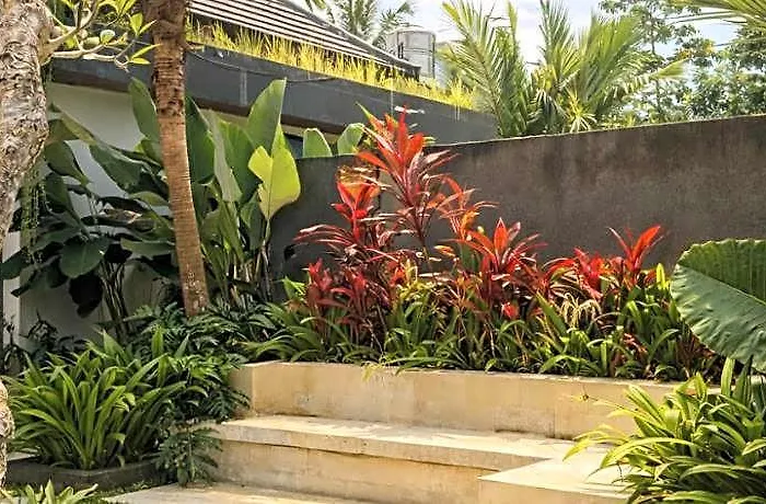 Hotel Mama 1 Ubud - Pool View Ubud By Serenity